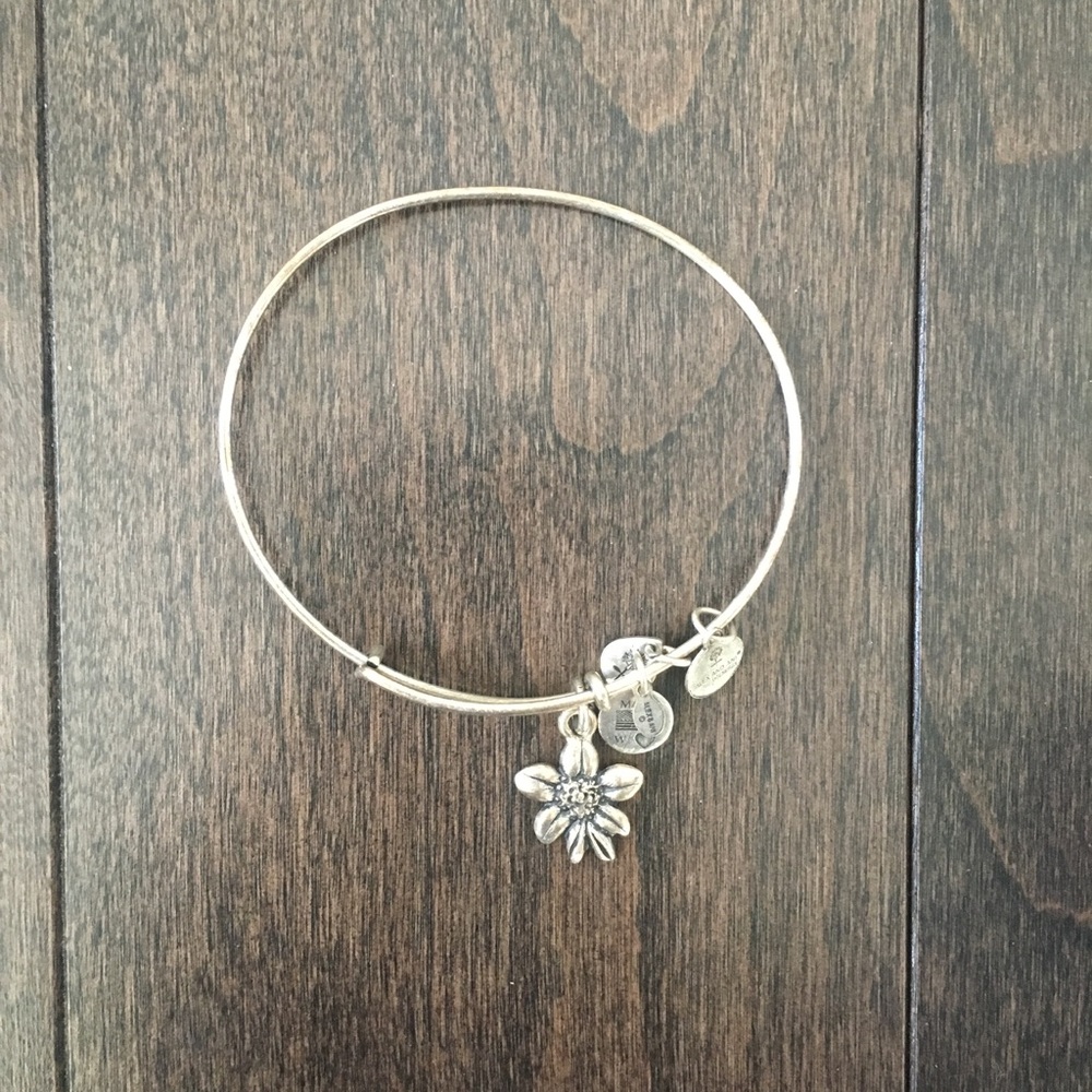 Alex and Ani bracelet